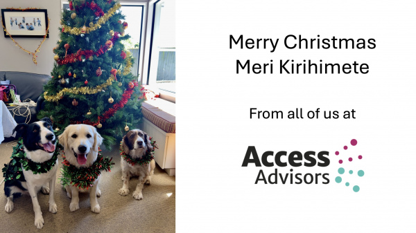 Team dogs Buddy, Mela and Winnie sitting in front of a beautiful Christmas tree. They each have tinsel around their neck