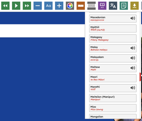 Screen shot of an accessibility overlay provisioned on a website