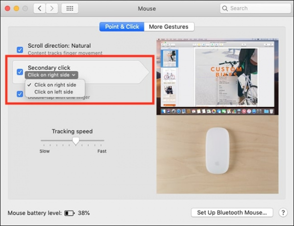 Mouse settings on a Mac. The secondary click can be set to the left or right side.